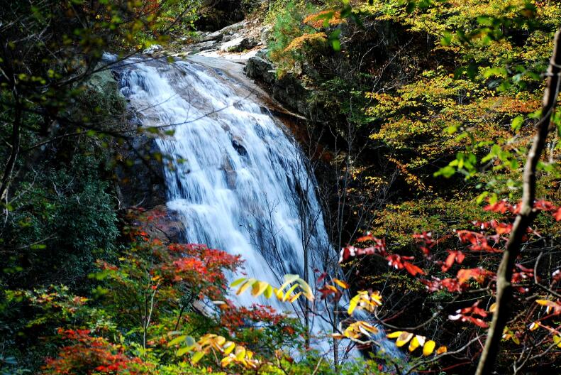 尊龙凯时 - 人生就是搏!