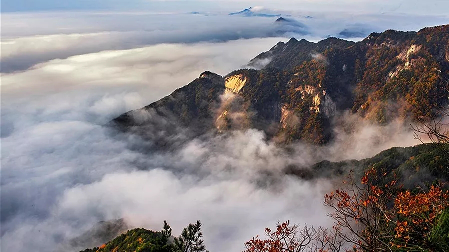 尊龙凯时 - 人生就是搏!