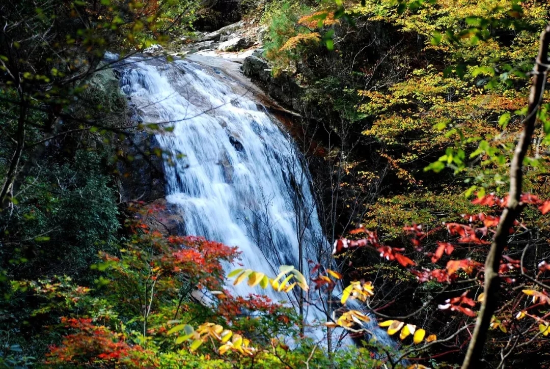 尊龙凯时 - 人生就是搏!