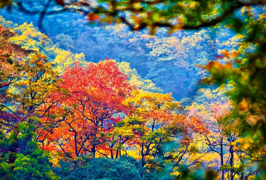 尊龙凯时 - 人生就是搏!