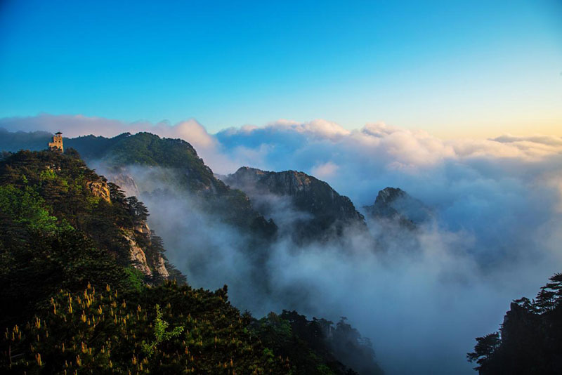 尊龙凯时 - 人生就是搏!