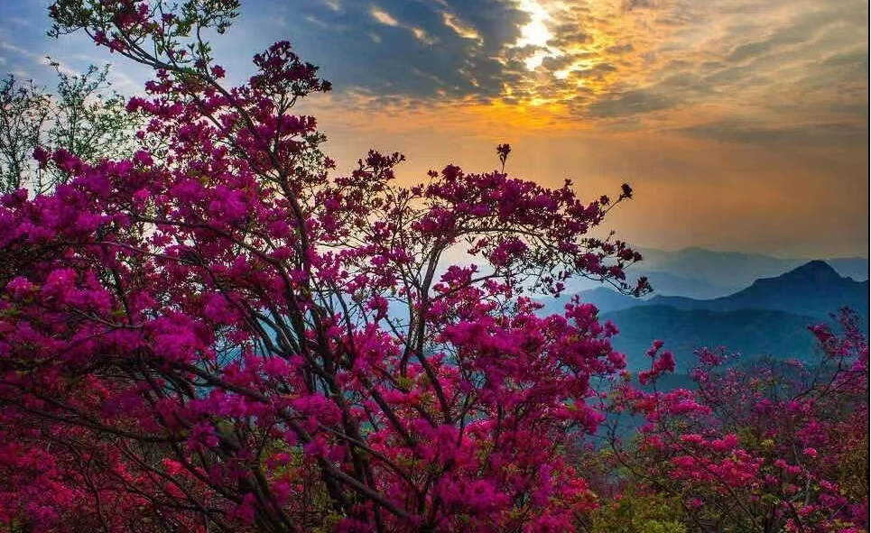 尊龙凯时 - 人生就是搏!